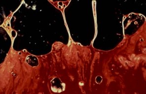 Semen Blood II 90 (Serrano)